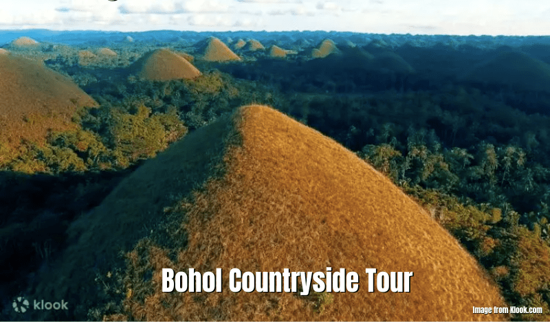 Bohol Countryside Tour By Southwest Tours Review Biyahefinder