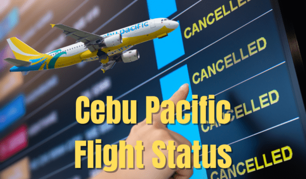 Cebu Pacific Flight Status: How To Get The Latest Updates