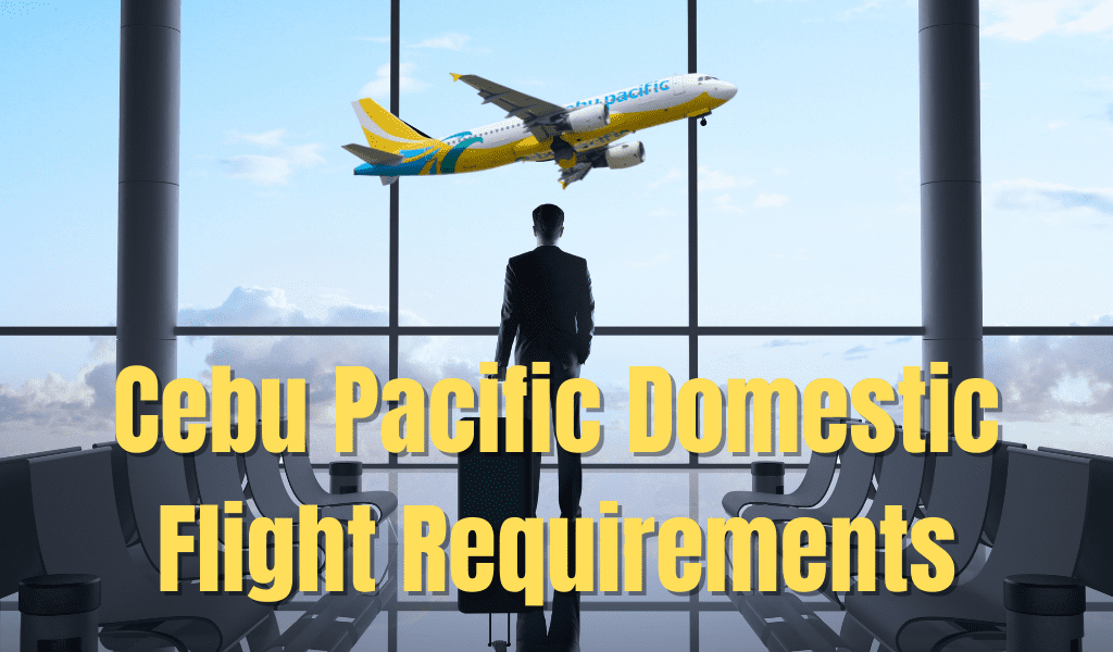 Cebu Pacific Flight Requirements - Here Is What To Know!