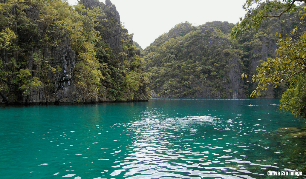 Barracuda Lake - Tourist Spots In Coron Palawan