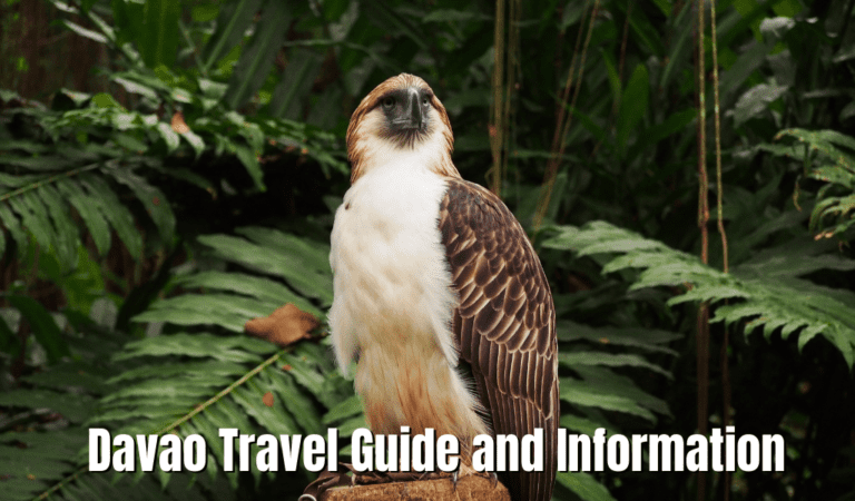 Check Out Davao Travel Guide And Information