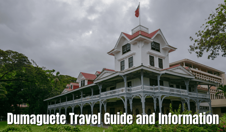 Check Out Latest Dumaguete Tourist Spots And Travel Guide For 2022