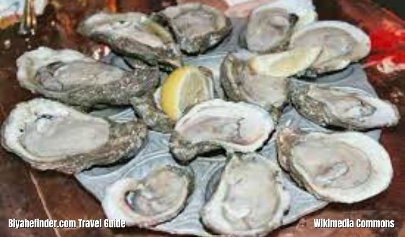 Bohol Tourist Spots - Cambuhat Oyster Farm