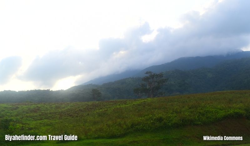 Naga City Tourist Spots - Mt. Isarog National Park