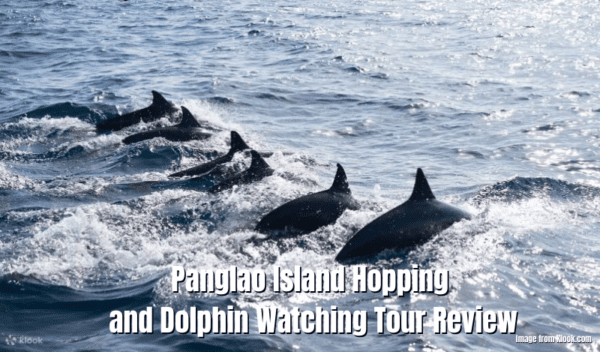 Panglao Island Hopping And Dolphin Watching Tour Review