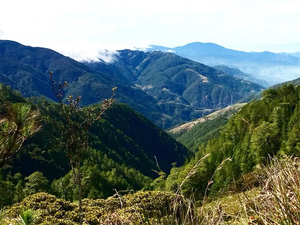 Mt. Pulag Hiking Tour From Baguio Review