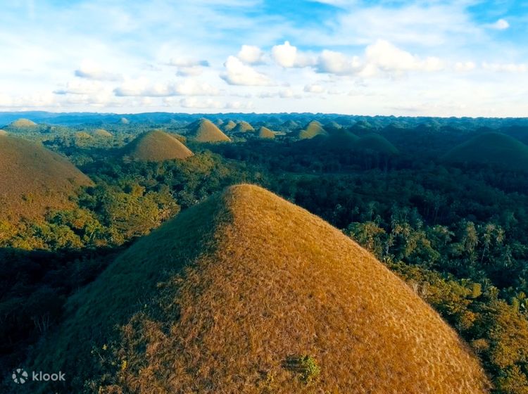Bohol Countryside Tour Review