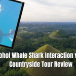 Bohol Whale Shark Interaction With Countryside Tour Review