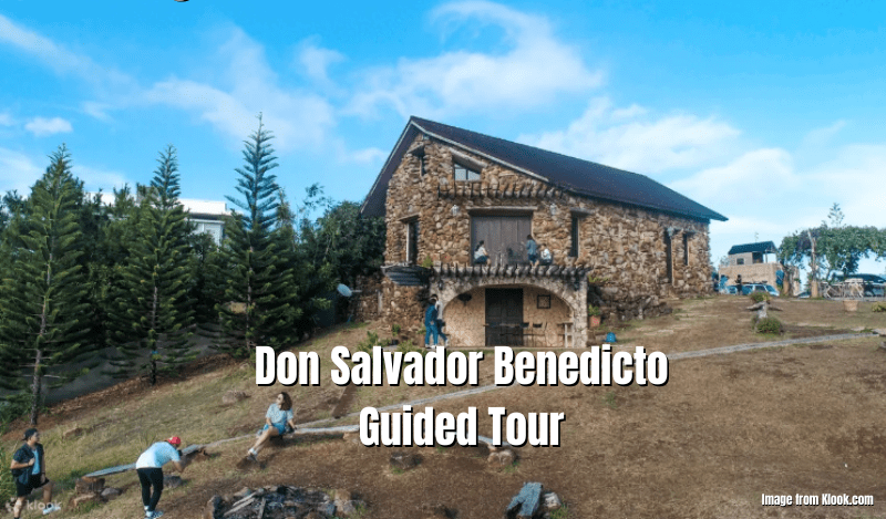 Don Salvador Benedicto Guided Tour Review