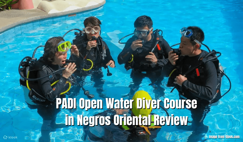 Padi Open Water Diver Course In Negros Oriental Review