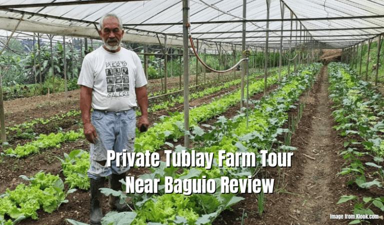 Private Tublay Farm Tour Near Baguio Review